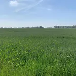In Near The * نيوبورت