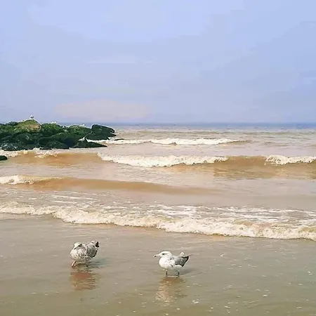 In Near The شقة نيوبورت