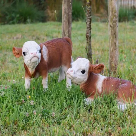 Lägenhet In Near The