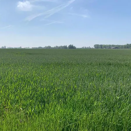 In Near The * Nieuwpoort