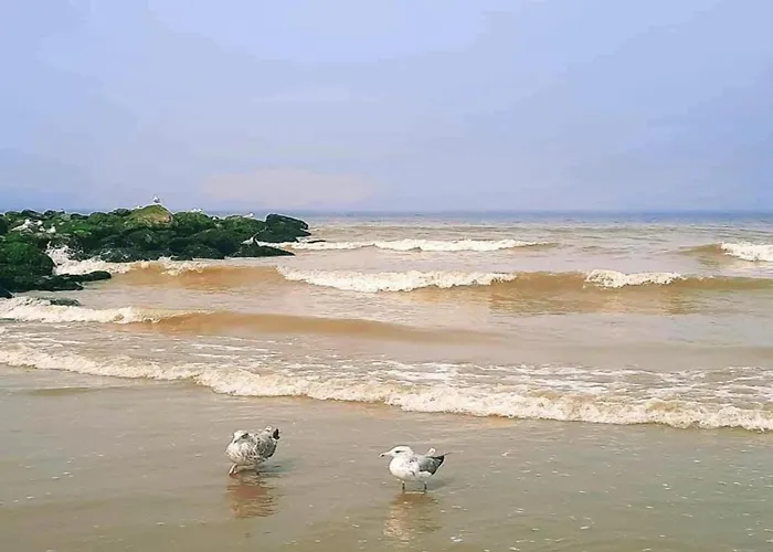 In Near The Appartement Nieuwpoort