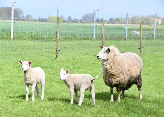 In Near The * Nieuwpoort